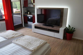 W & S Executive Apartments - Obertraun, Obertraun, Österreich
